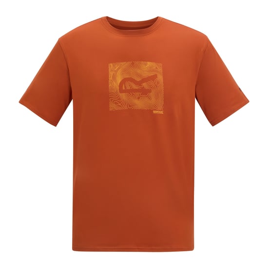 Regatta Mens Fingal Abstract Stretch Logo T-Shirt (Rooibos Tea) - Image 2