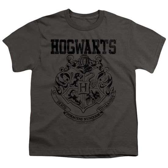 Harry Potter Hogwarts-sport-T-shirt voor kinderen (Houtskool) - Image 1