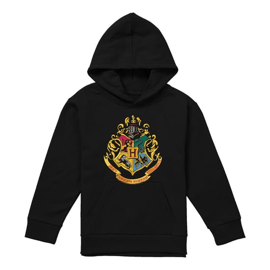 Harry Potter Kinderen/Kinderen Hoodie met Zweinsteinmotief (Zwart) - Image 1