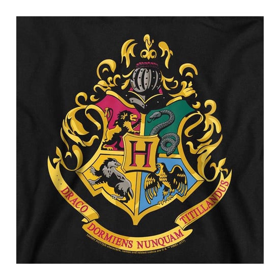 Harry Potter Kinderen/Kinderen Hoodie met Zweinsteinmotief (Zwart) - Image 3