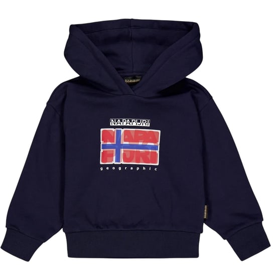 Napapijri Childrens/Kids Sella Flag Hoodie (Marine Blue) - Image 1