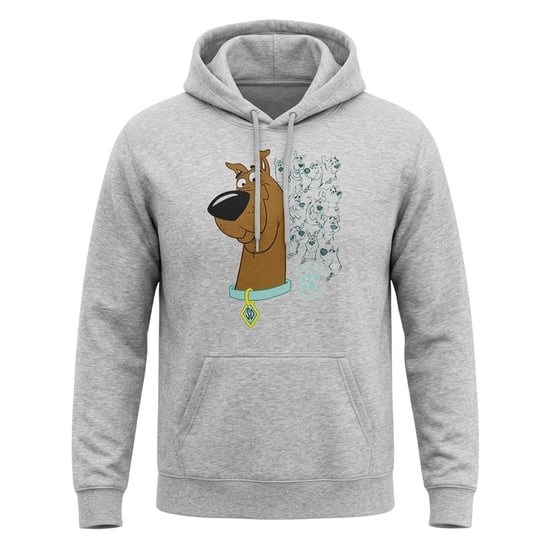 Scooby Doo Unisex Evolution-hoodie voor volwassenen (Sport Heide) - Image 1