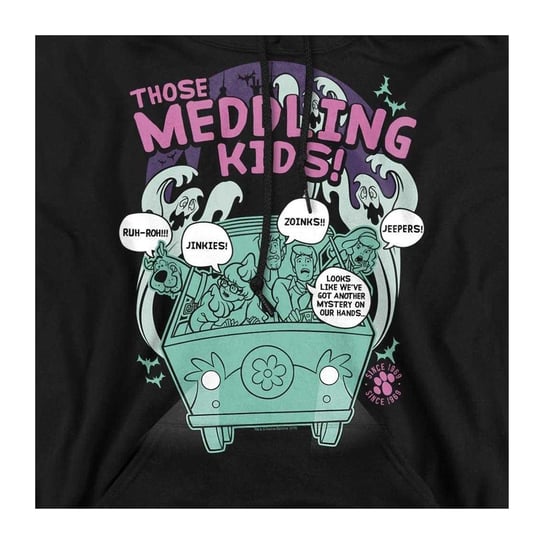 Scooby Doo Unisex-hoodie voor volwassenen ‘Meddling Since 1969’ (Zwart) - Image 3