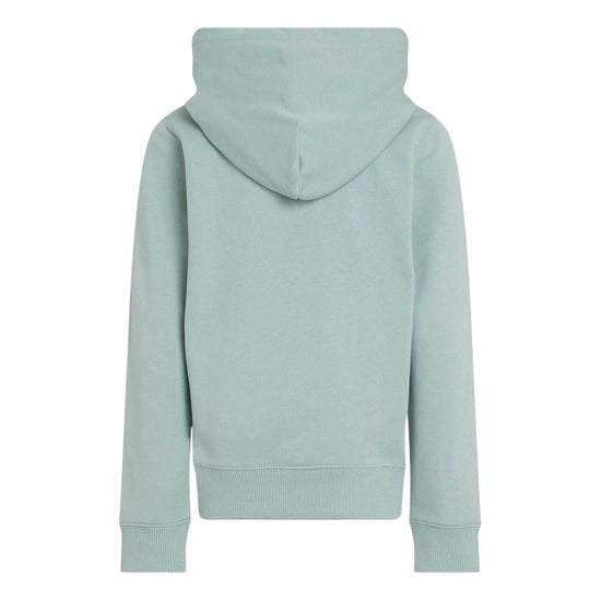 Calvin Klein Childrens/Kids Cotton Pullover Hoodie (Green) - Image 3