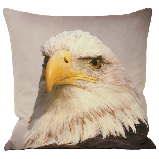 Animal Eagle 45X45 Poly Cushion - Image 2