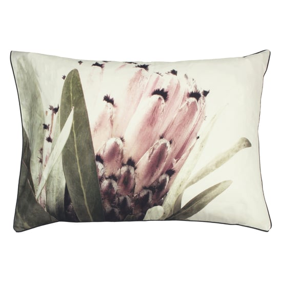 Alice Pillowcase Pairs - Image 2