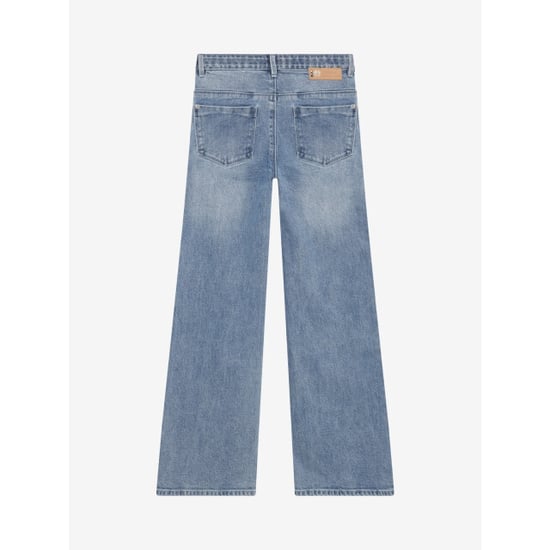 Indian Blue 7069 - Image 3