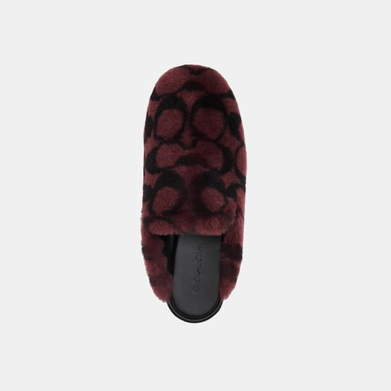 Slipper In Signature Shearling - Image 3