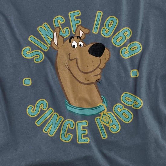 Scooby Doo Unisex volwassen sinds 1969 T-Shirt (Leisteen) - Image 3