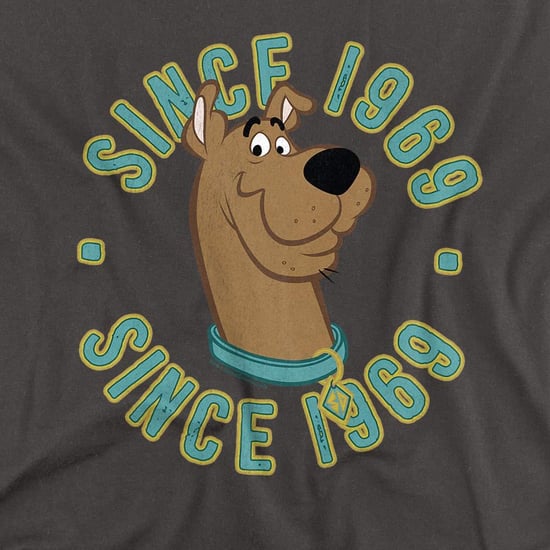 Scooby Doo Unisex volwassen sinds 1969 T-Shirt (Houtskool) - Image 3