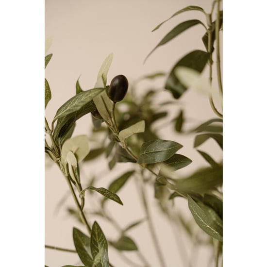 Indore Home Indore silva olijfboom kunstplant 120 cm – mediterrane kunstboom - Image 5