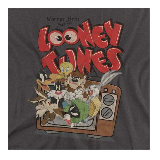 Looney Tunes Unisex T-shirt voor volwassenen ‘Saturday Mornings’ in heather-kleur (Houtskool) - Image 3