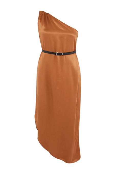 Trendyol Curve Dam Brun Enfärgad Midi Ärmlös Fest A-linje Plus size Klänning - Image 4