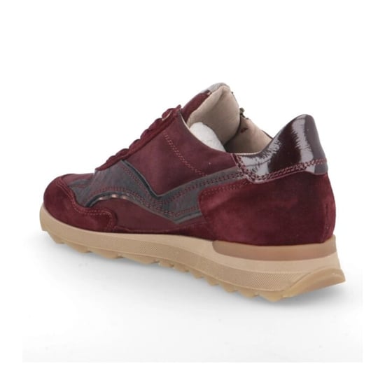 DL Sport 7140 vers 04 - Image 2