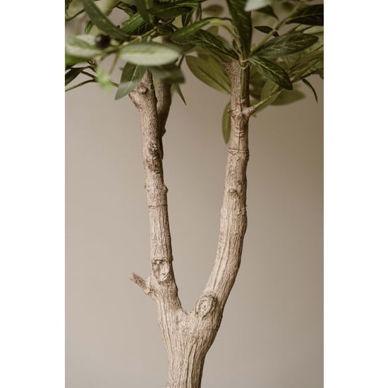 Indore Home Indore silva olijfboom kunstplant 120 cm – mediterrane kunstboom - Image 6