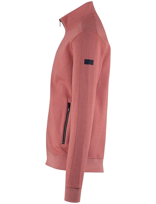 vest Baileys roze met boord normale fit - Image 4