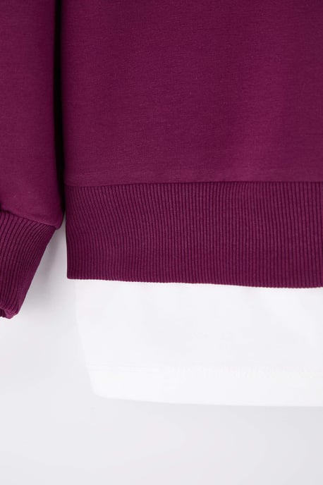 Trendyol Curve Dam Lila Enfärgad Lång Oversize Plus size Sweatshirts - Image 5