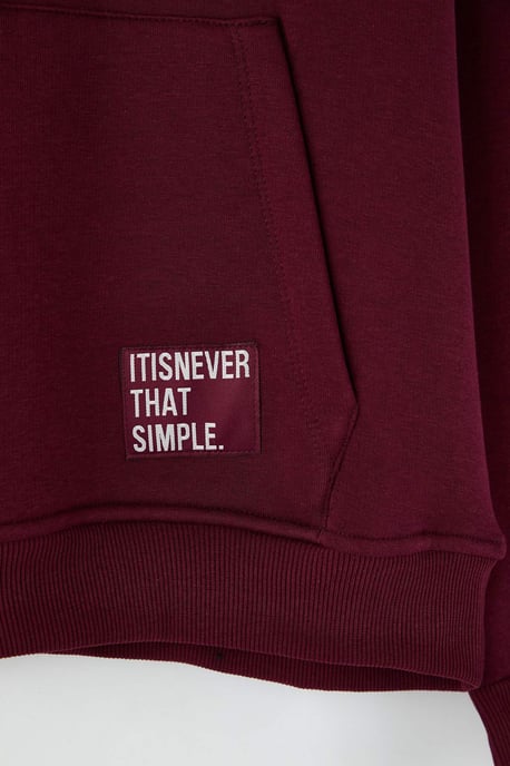 TRENDYOL MAN Men's Burgundy Plain Long Oversize Sweatshirts - Image 5