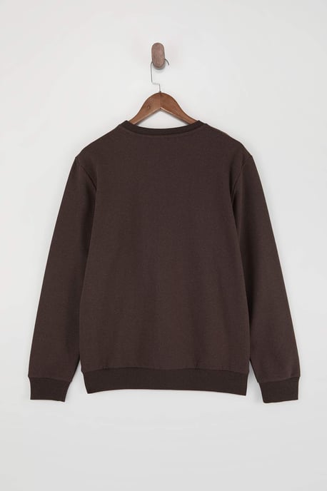 TRENDYOL MAN Herr Brun Enfärgad Lång Regular fit Sweatshirts - Image 5