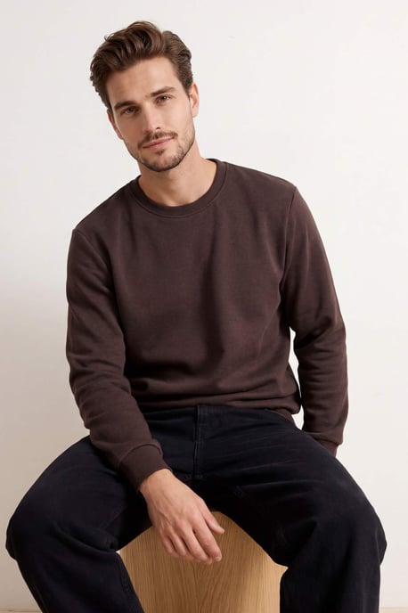 TRENDYOL MAN Herr Brun Enfärgad Lång Regular fit Sweatshirts - Image 6