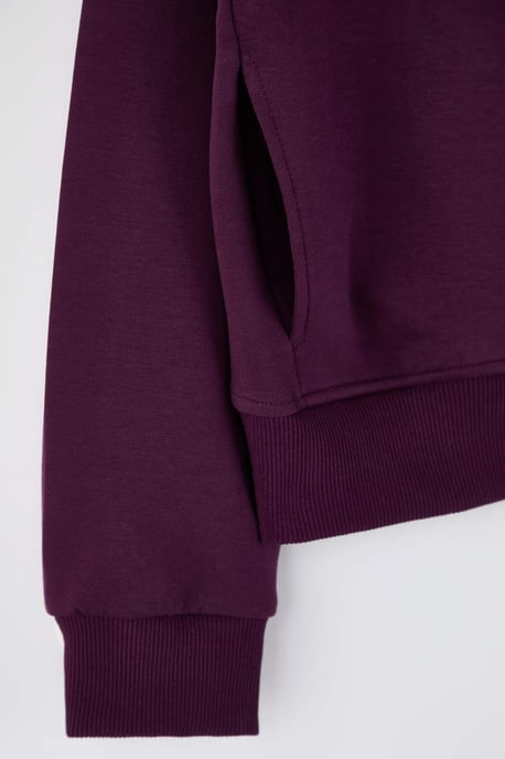 Trendyol Curve Dam Lila Grafiskt Lång Regular fit Plus size Sweatshirts - Image 5