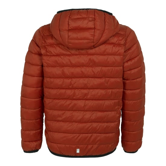Regatta Childrens/Kids Marizion Hooded Padded Jacket (Rooibos Tea/Black) - Image 3