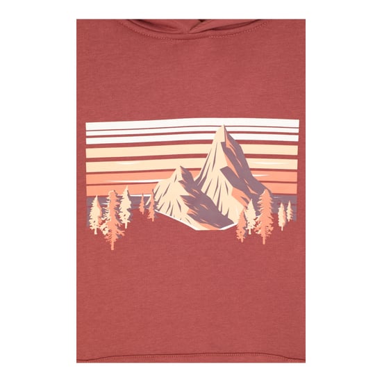 Mountain Warehouse Mens Mountain Scene Hoodie (Rust) - Image 4