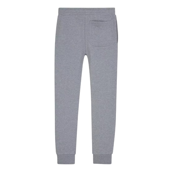 Lyle & Scott Klassiska joggingbyxor med logotyp för barn/ungdomar (Ljusgrå) - Image 2