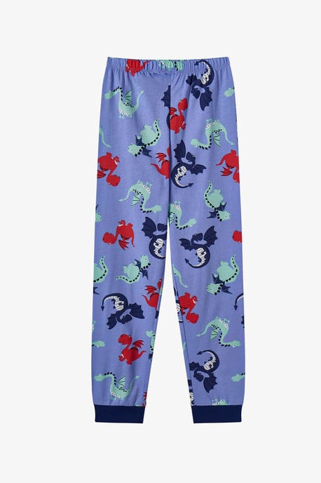 Boys' Dragon Repeat Cotton Long Sleeve Pajama Set - Image 3