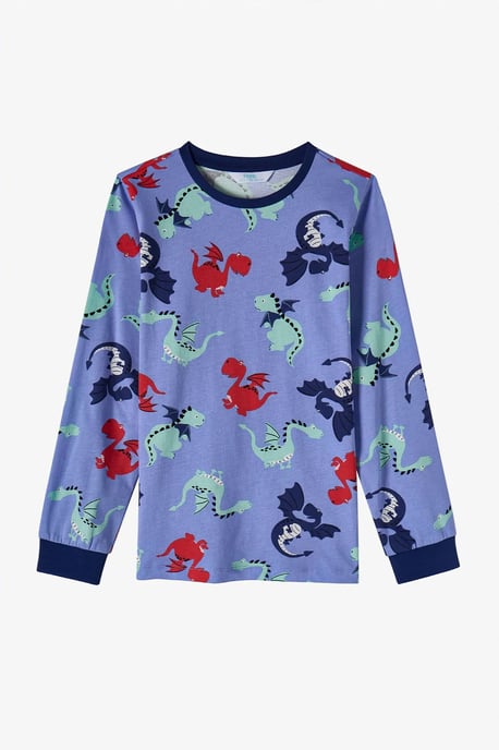 Boys' Dragon Repeat Cotton Long Sleeve Pajama Set - Image 5