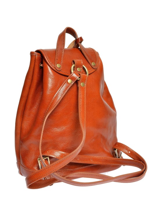 Anna Luchini Brown Rundleer Tas - Image 2