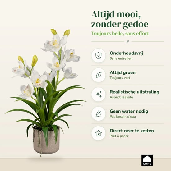 Kopu ® kunstorchidee 58 cm - in grijze melamine pot cymbidium - Image 5