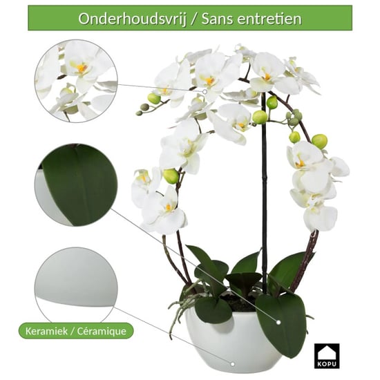 Kopu ® kunstorchidee 52 cm - te keramische pot phalaenopsis - Image 2