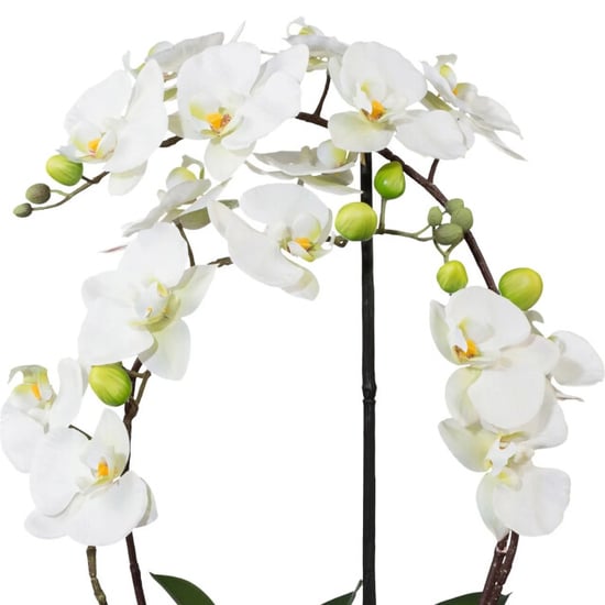 Kopu ® kunstorchidee 52 cm - te keramische pot phalaenopsis - Image 5