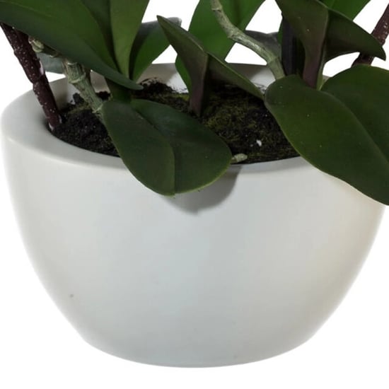 Kopu ® kunstorchidee 52 cm - witte keramische pot phalaenopsis - Image 2