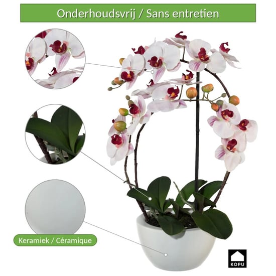 Kopu ® kunstorchidee 52 cm - witte keramische pot phalaenopsis - Image 3