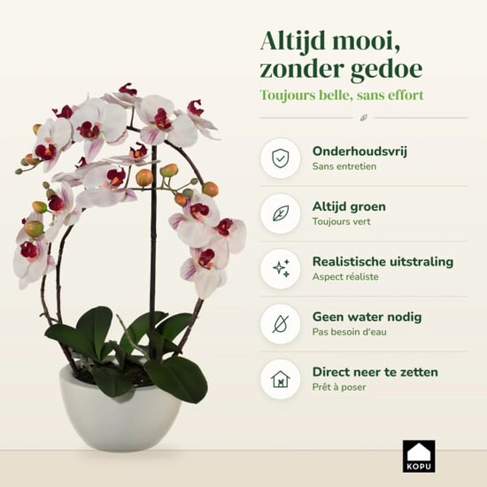 Kopu ® kunstorchidee 52 cm - witte keramische pot phalaenopsis - Image 5