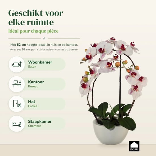 Kopu ® kunstorchidee 52 cm - witte keramische pot phalaenopsis - Image 6