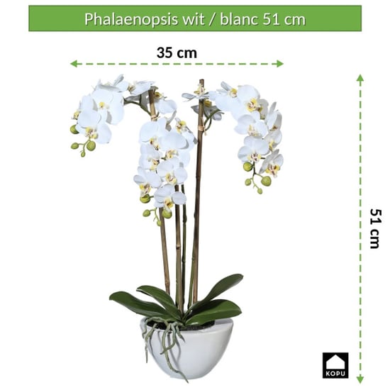 Kopu ® kunstorchidee 51 cm - te schaal phalaenopsis - Image 2