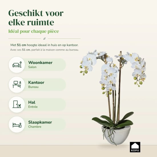 Kopu ® kunstorchidee 51 cm - te schaal phalaenopsis - Image 4
