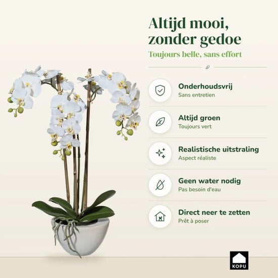 Kopu ® kunstorchidee 51 cm - te schaal phalaenopsis - Image 5