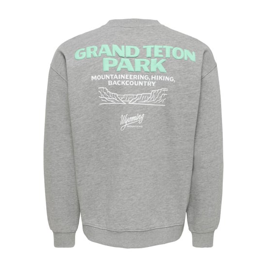 Only & Sons Only & sons onsbejmo sweatshirt - Image 1