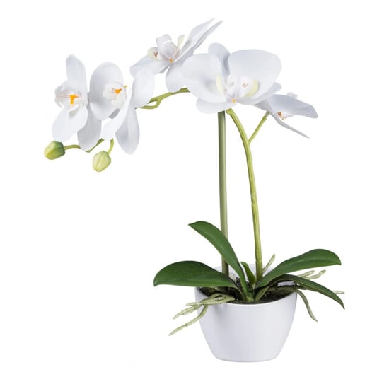 Kopu ® kunstorchidee 33 cm set van 2 - te pot phalaenopsis - Image 1