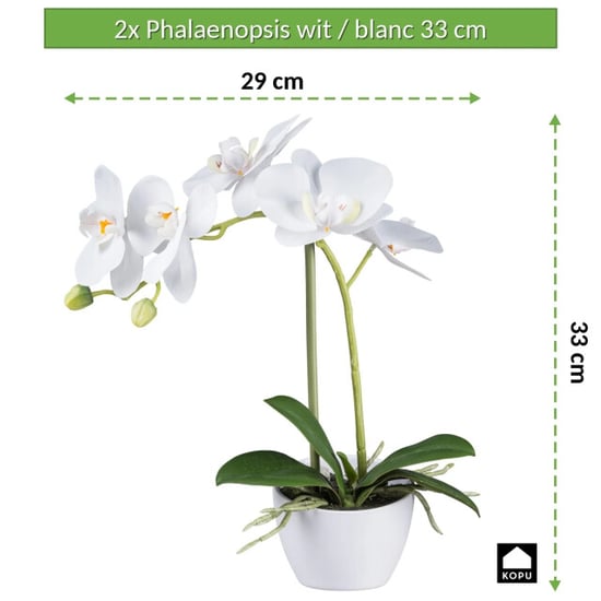 Kopu ® kunstorchidee 33 cm set van 2 - te pot phalaenopsis - Image 2