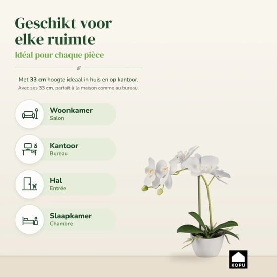 Kopu ® kunstorchidee 33 cm set van 2 - te pot phalaenopsis - Image 4