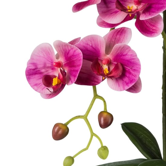 Kopu ® kunstorchidee 52 cm - witte pot phalaenopsis - Image 2