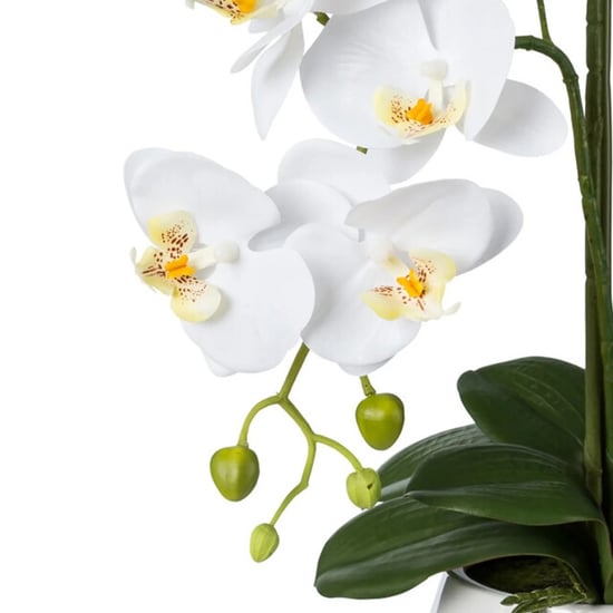 Kopu ® kunstorchidee 52 cm - te keramische pot phalaenopsis - Image 2