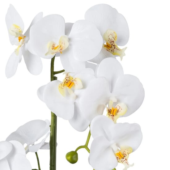 Kopu ® kunstorchidee 52 cm - te keramische pot phalaenopsis - Image 3
