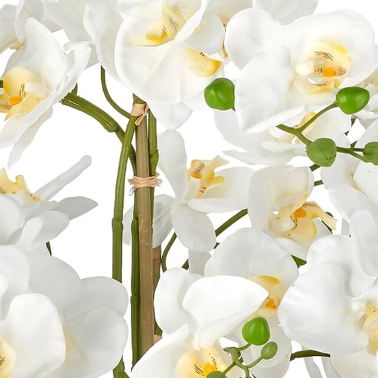 Kopu ® kunstorchidee 80 cm - zwarte schaal phalaenopsis - Image 2