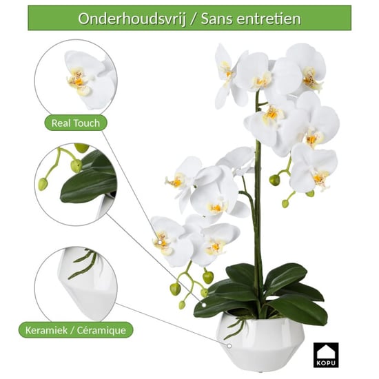 Kopu ® kunstorchidee 52 cm - te keramische pot phalaenopsis - Image 4